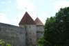photo258_small.jpg