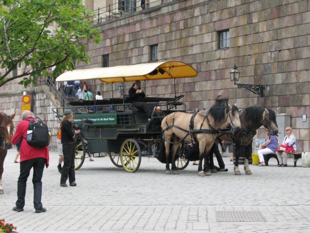 photo65.jpg