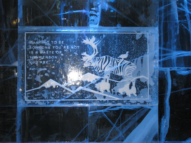photo83.jpg